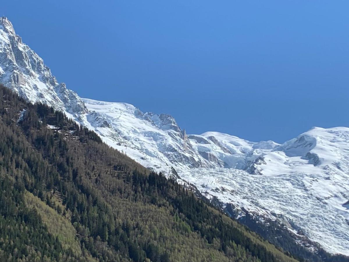 Studio Le Paccard-1 By Interhome Chamonix Mont Blanc Exterior foto